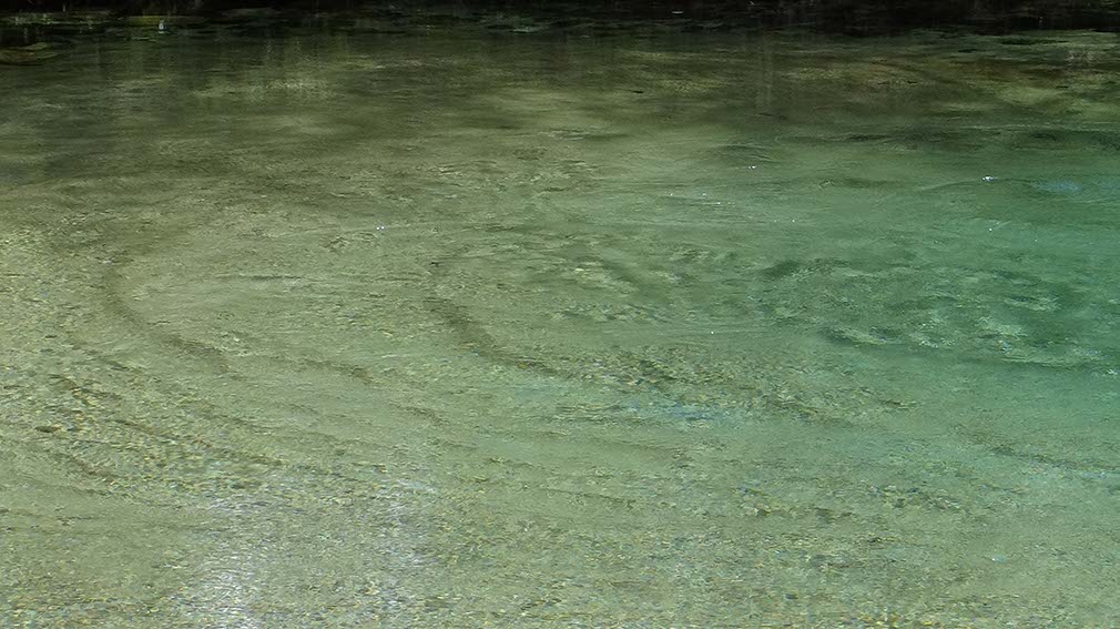 Williford Spring